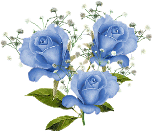 fleurs bleus